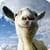 Goat Simulator pack