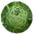 Benefits of Artichoke