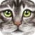 Ultimate Cat Simulator
