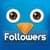 Instagram Fast Followers