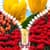 Tulips Zipper Lock Screen Best