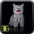 Free Cat Wallpaper