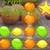 Fruit Rubbish