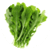 Benefits of Arugula