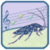 Chirpy Cricket