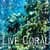 Coral Reef In the Deep Sea LWP free