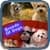 The Importance of Breeds of Dogs