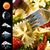 Weather Clock Widget Pasta