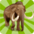 Wild animals memory game