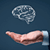 Emotional Intelligence App