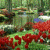 Butterfly Garden Live Wallpaper