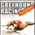 Greyhound Racing