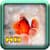 Free HD Wallpaper Aquarium