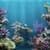 Amazing Aquarium Live Wallpaper
