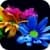 Flowers 3D Live Wallpaper parallax effect