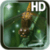 Dragonfly Live Wallpaper HD