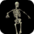 Animated Skeleton LWP