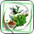Ayurvedic Medicine Info