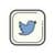 Fast Speed Twitter