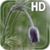 Flower Bud LWP