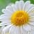 Nature Wonder HD Wallpaper