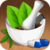 Ayurvedic Treatments