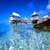 Bermuda Resort Live Wallpaper