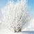 Frozen Bushes Live Wallpaper