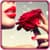 Rose Flower Selfie Editor