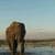 Nature Live Wallpaper 128