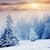 Magical Snow Live