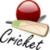 cricket Now