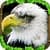 Eagle Simulator alternate