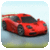 Race Car Rally
