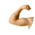 Healthy Elbow