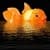 Giant Goldfish Live Wallpaper