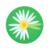 Daisy Petals by Fupa