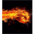 Temperature 
