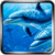 Adventure Dolphin FREE