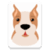 Communicate with dogs