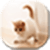Cat Wallpaper Images