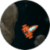 Asteroilds
