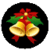 Tips to get ready for xmas
