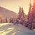 Sunset Winter Shadows Live Wallpaper