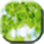 Green Wallpaper Images App