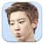 EXO Park Chanyeol Puzzle Games