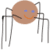 Spider adventures