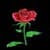 Blinking Rose