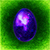 Mysterious Surprise Egg