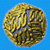 ZIKA Virus Structure in 3D VR